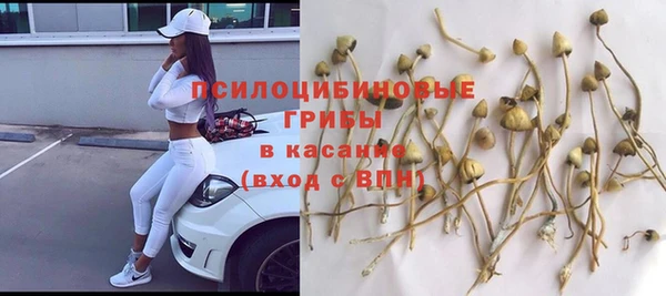 прущий лед Липки
