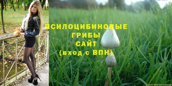 прущий лед Липки