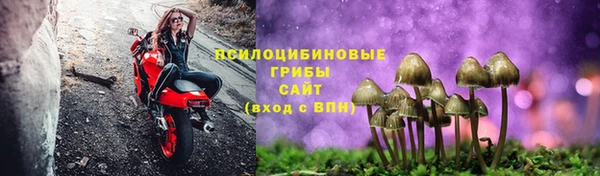 прущий лед Липки